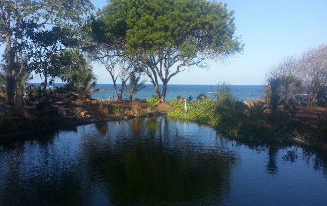 Lake